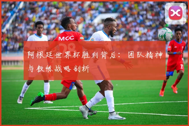 阿根廷世界杯胜利背后：团队精神与教练战略剖析