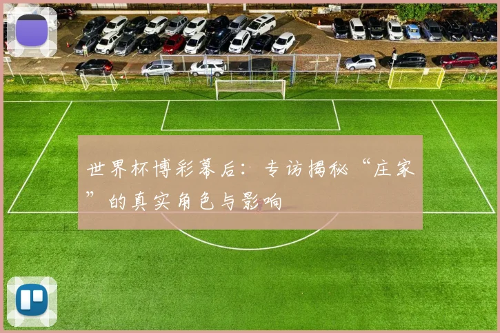 世界杯博彩幕后:专访揭秘“庄家”的真实角色与影响