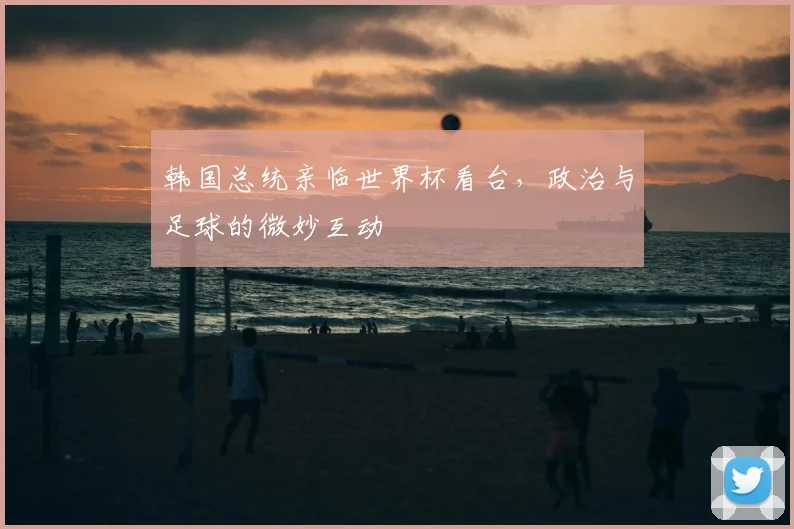 韩国总统亲临世界杯看台,政治与足球的微妙互动