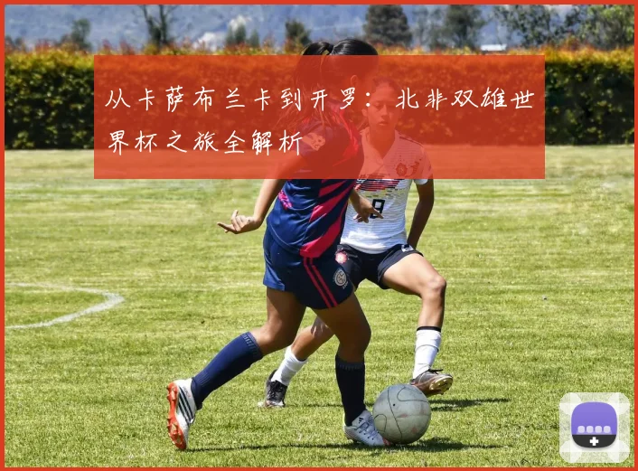 从卡萨布兰卡到开罗:北非双雄世界杯之旅全解析