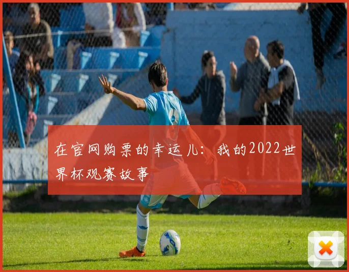 在官网购票的幸运儿：我的2022世界杯观赛故事